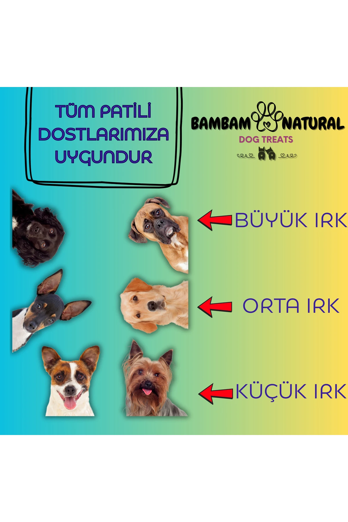 %100 Doğal Kurutulmuş Çiğneme Ve Ödül Mamaları-Kuzu Deri Örgüleri 100gr+Dana Gırtlak Parçaları 100gr