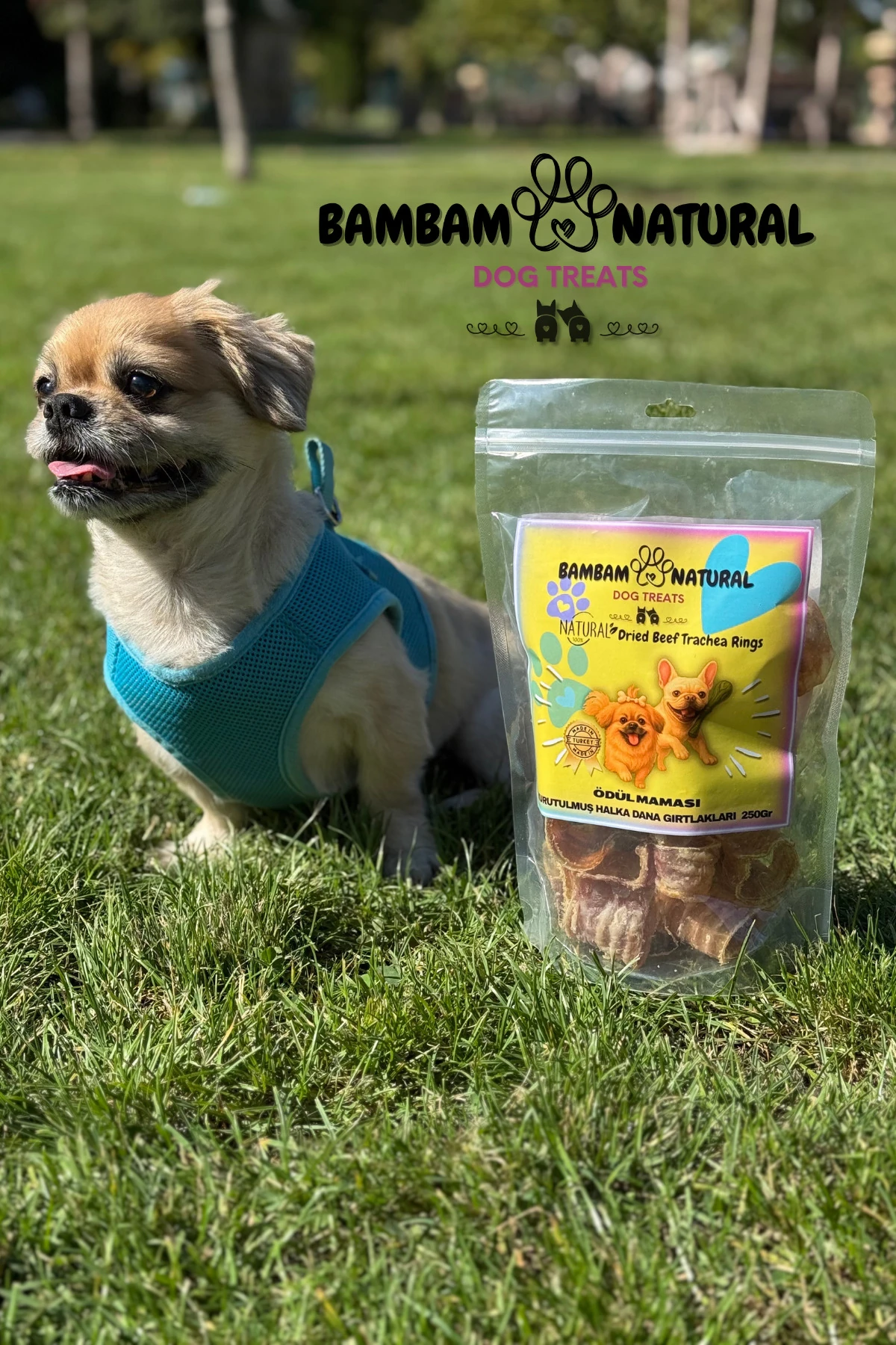 %100 Doğal Kurutulmuş Dana Gırlak Halkaları 250Gr - Köpek Çiğneme Ve Ödül Maması