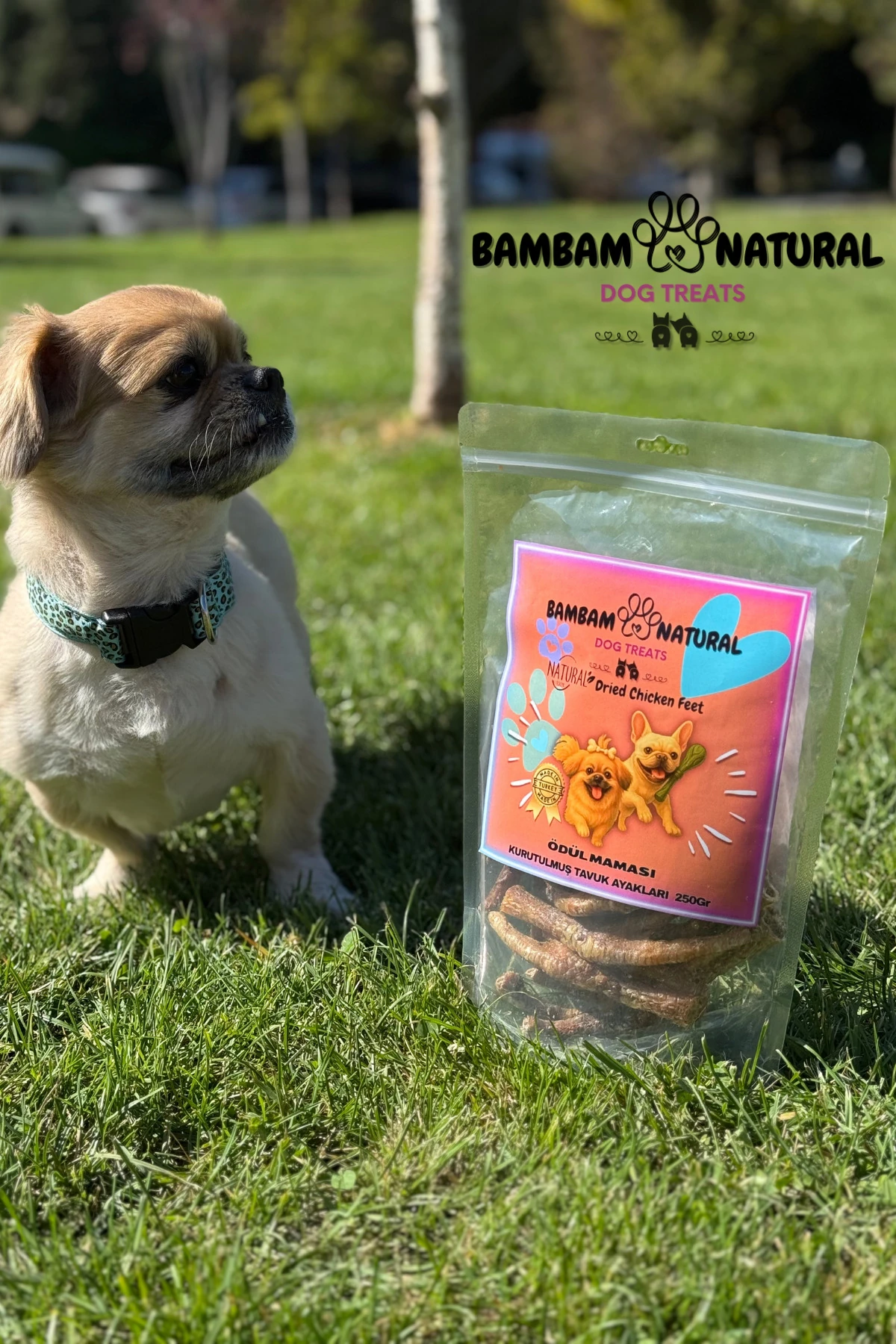 %100 Doğal Kurutulmuş Tavuk Ayağı 250Gr - Köpek Çiğneme Ve Ödül Maması