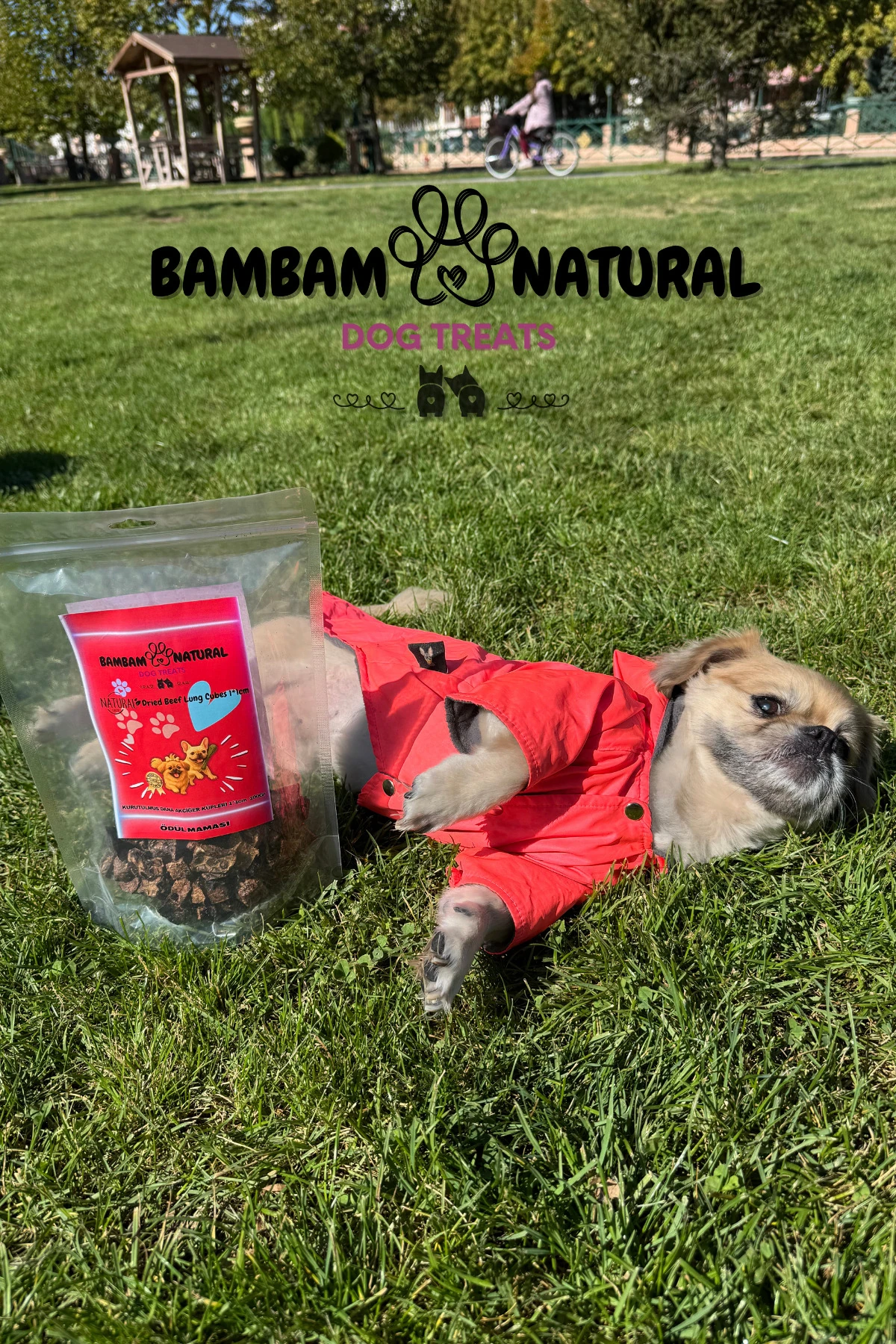 %100 Doğal Kurutulmuş Dana Akciğer Küpleri 1 Cm 100 Gr - Köpek Çiğneme Ve Ödül Maması