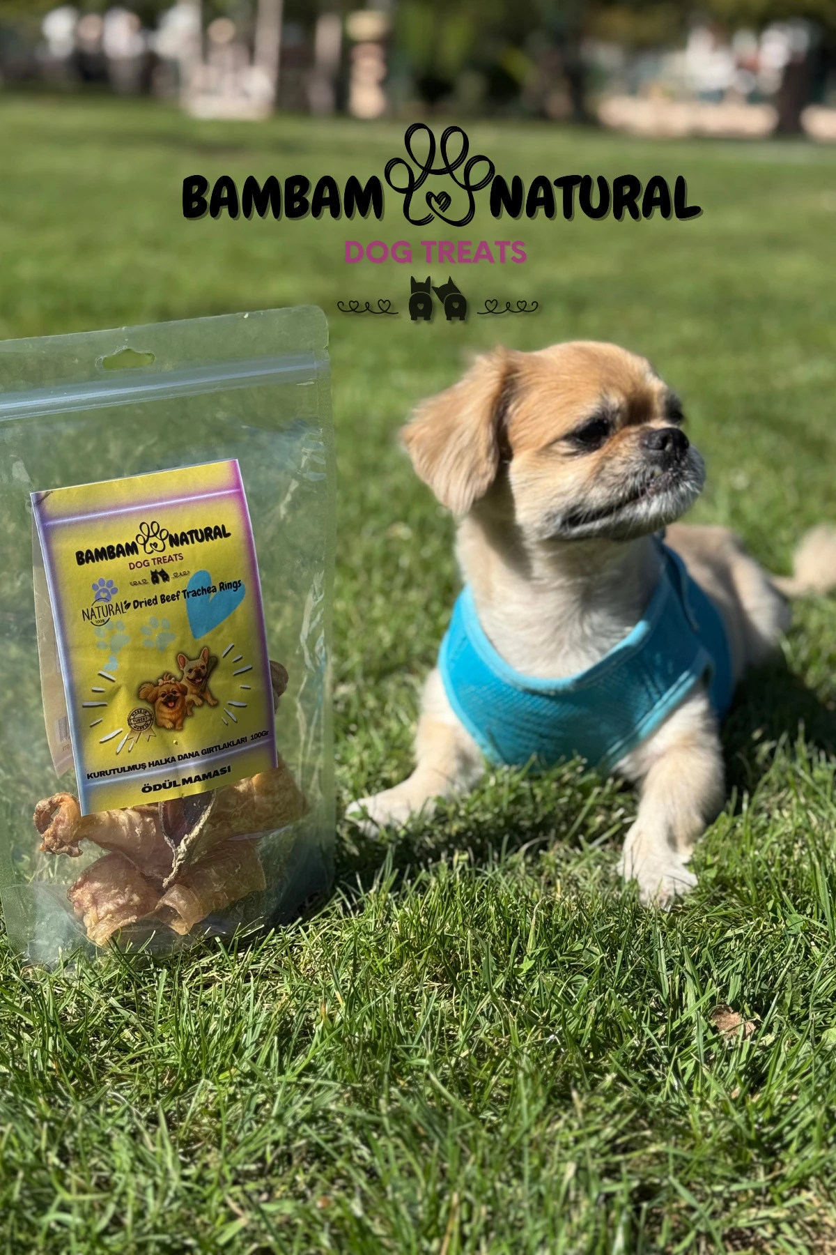 %100 Doğal Kurutulmuş Dana Gırtlak Halkaları 100Gr - Köpek Çiğneme Ve Ödül Maması