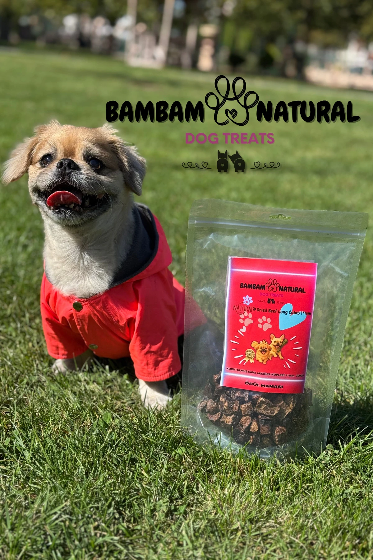 %100 Doğal Kurutulmuş Dana Akciğer Küpleri 1 Cm 100 Gr - Köpek Çiğneme Ve Ödül Maması