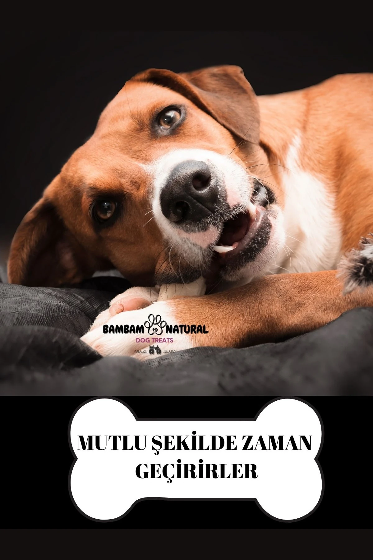 %Doğal Kurutulmuş Dana Akciğer Çubukları 15 Cm 250 Gr - Köpek Çiğneme ve Ödül Maması
