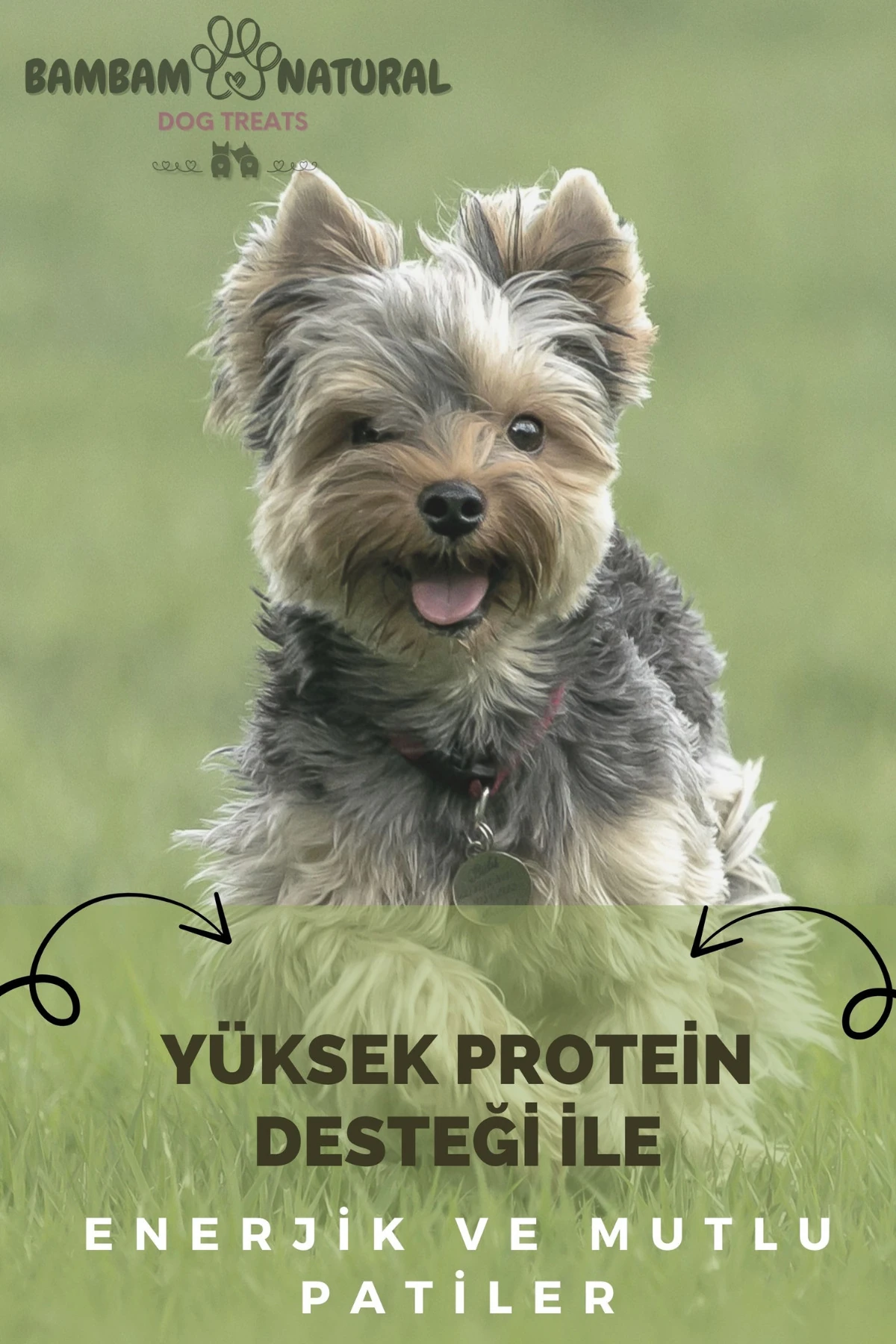 %100 Doğal Kurutulmuş Dana Gırtlak Halkaları 100Gr - Köpek Çiğneme Ve Ödül Maması