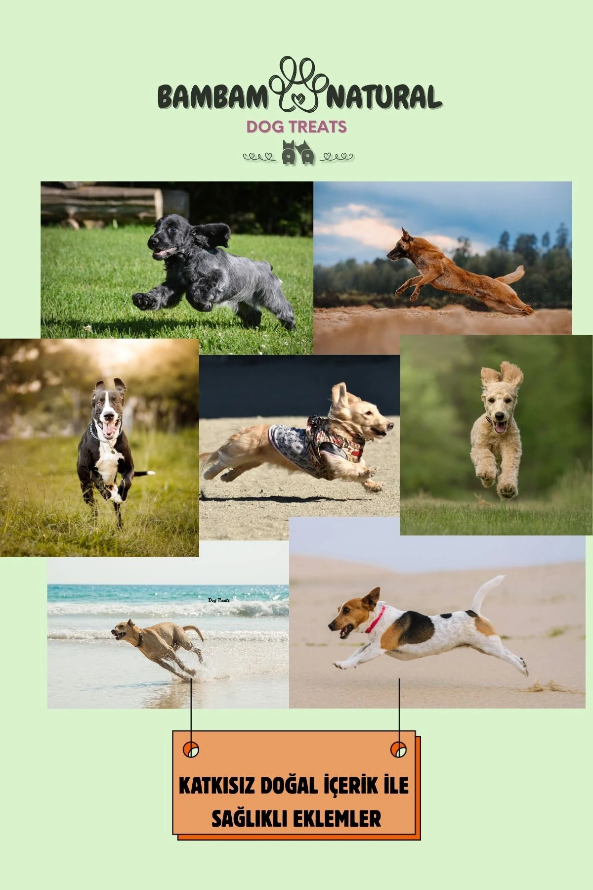 %Doğal Kurutulmuş Dana Akciğer Çubukları 15 Cm 250 Gr - Köpek Çiğneme ve Ödül Maması