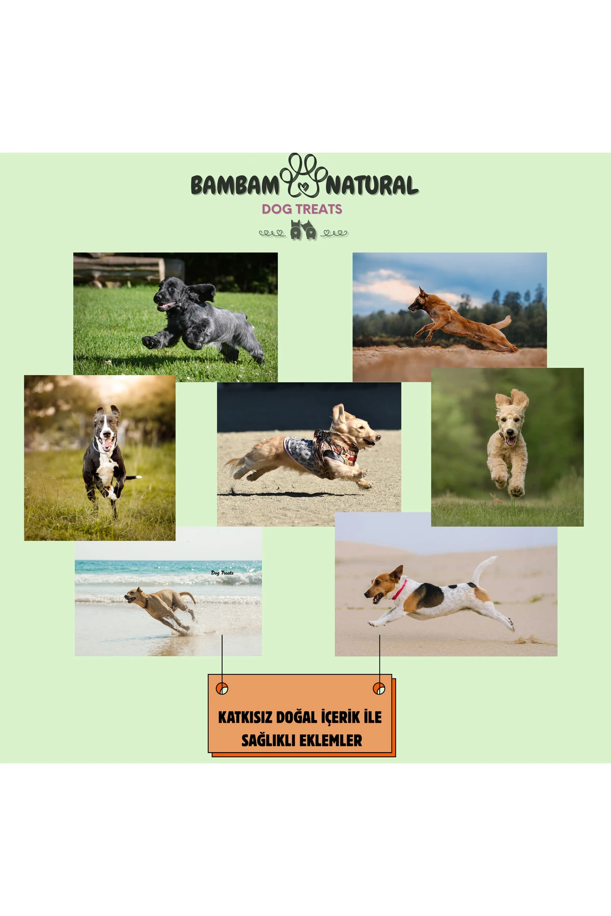 %100 Doğal Kurutulmuş Çiğneme Ve Ödül Mamaları-Kuzu Deri Örgüleri 100gr+Dana Gırtlak Parçaları 100gr