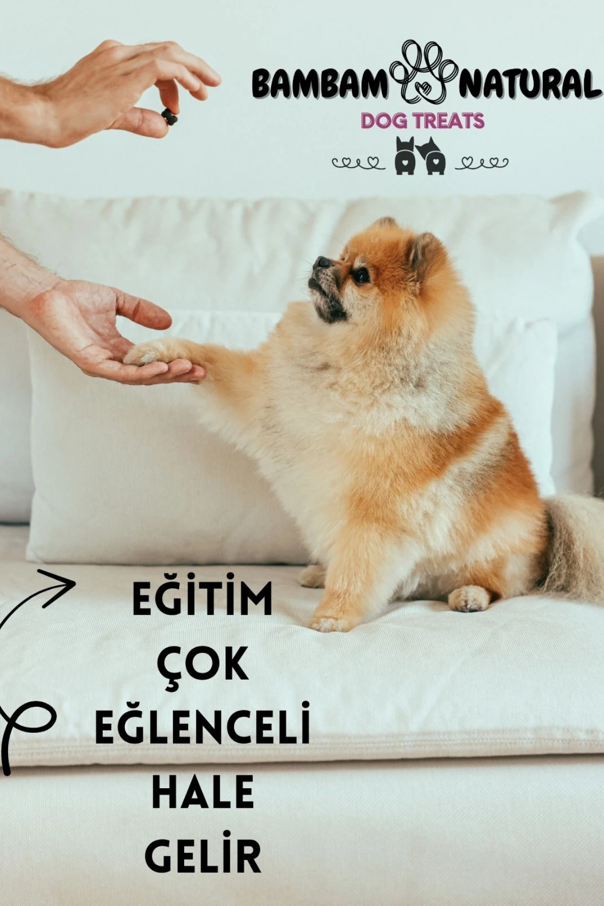 %100 Doğal Kurutulmuş Kuzu Derisi Örgüleri 15 cm 250 Gr - Köpek Çiğneme Ve Ödül Maması