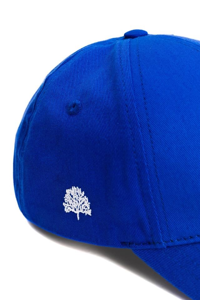 Blue Embroidery Hat