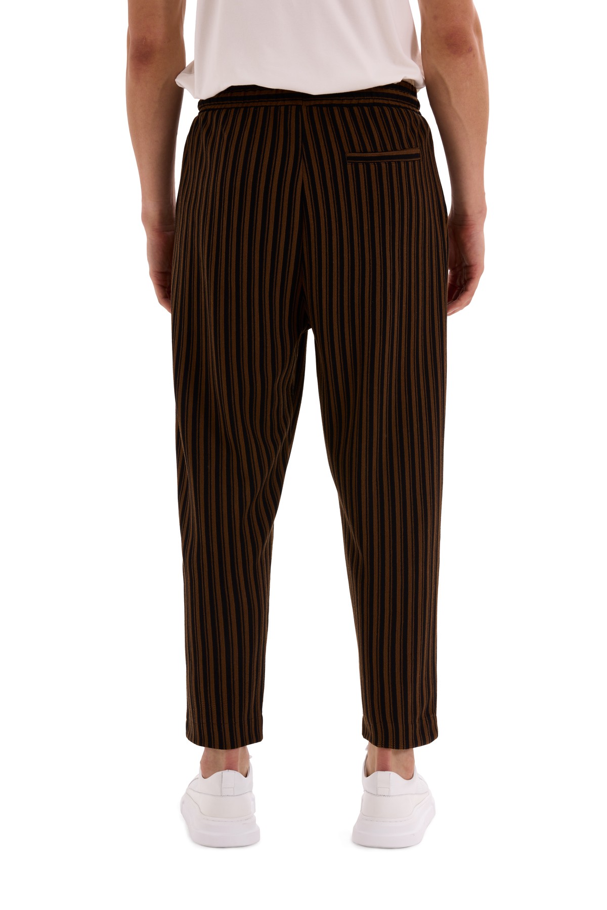 Brown Double Pleated Striped Trousers