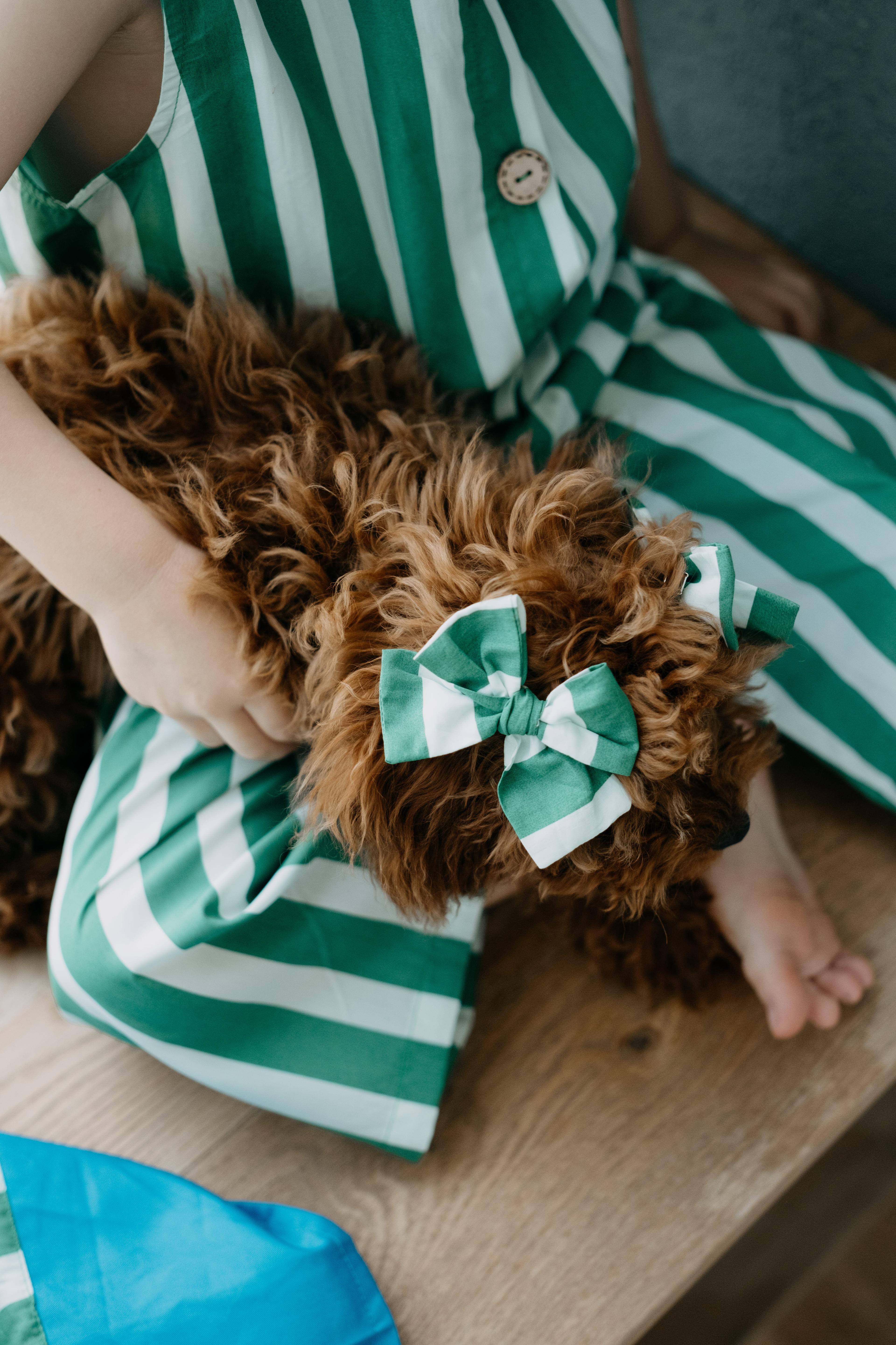 Bow Green Hairclips