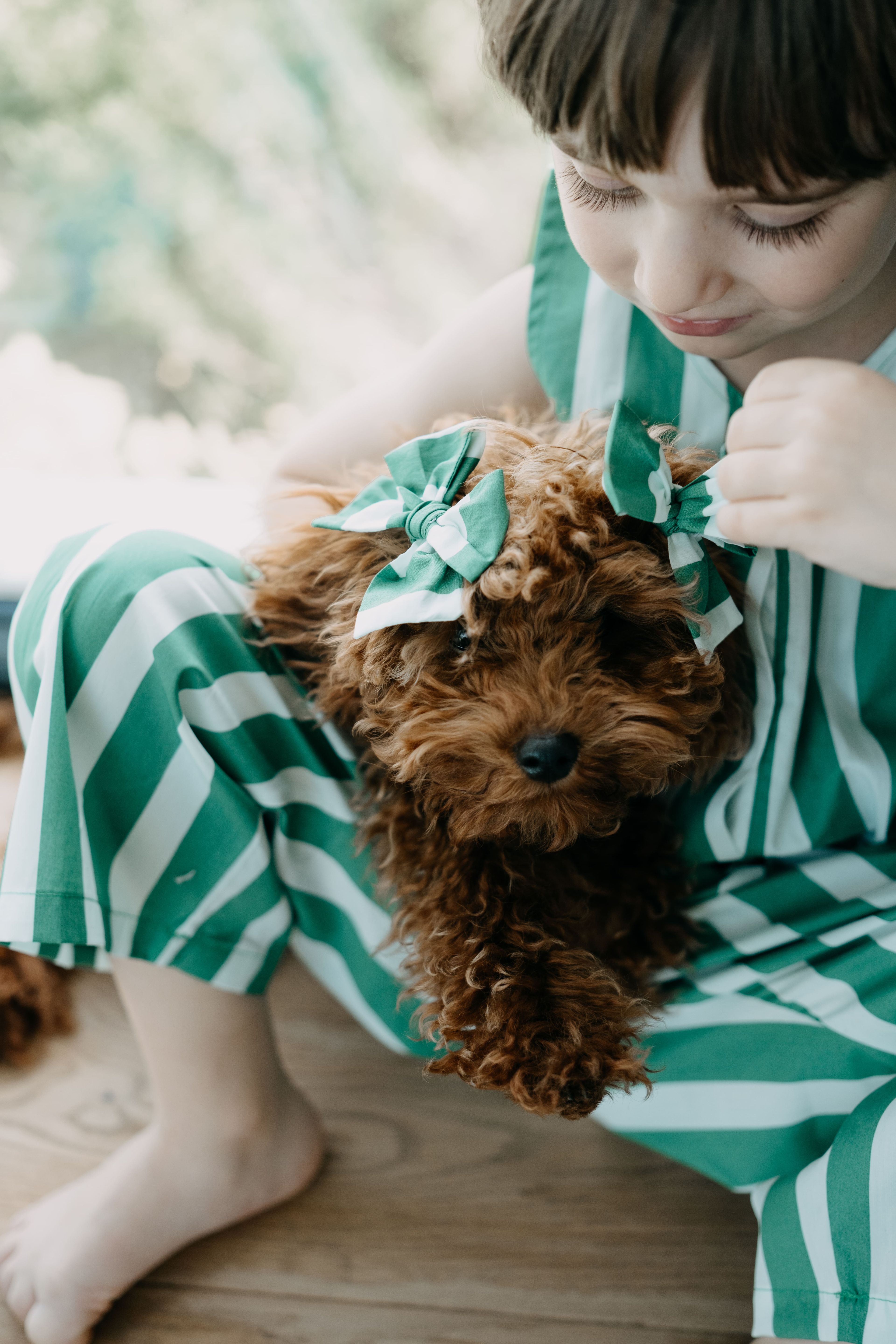 Bow Green Hairclips