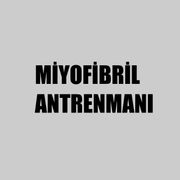 Miyofibril