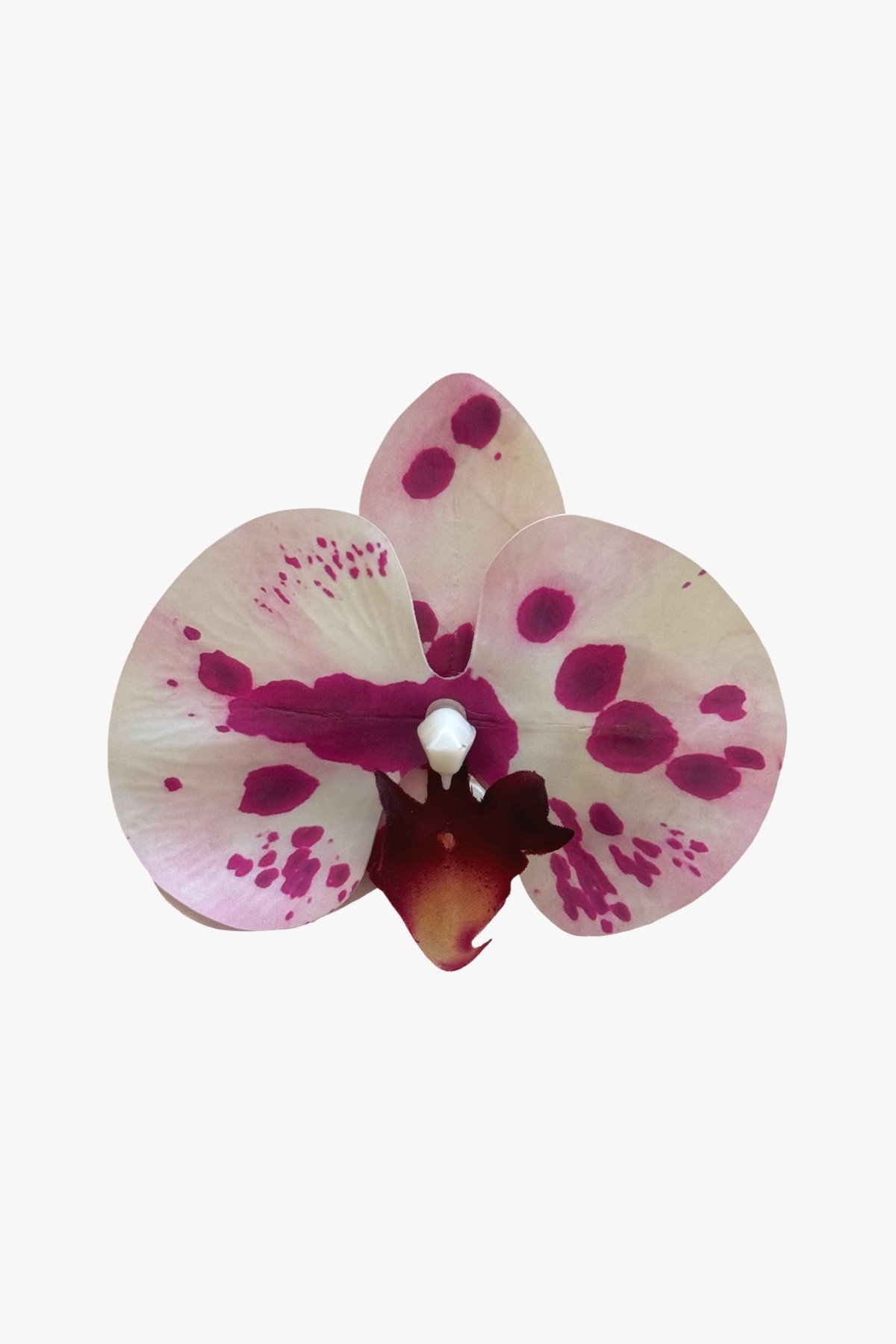 Purple Dots Orchid Hair Clip