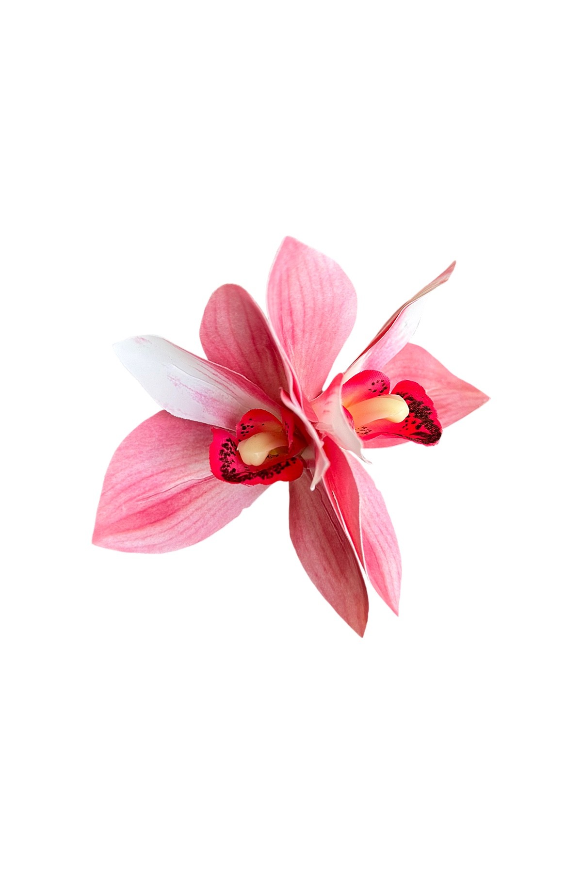 Pembe Singapur Orkide Toka