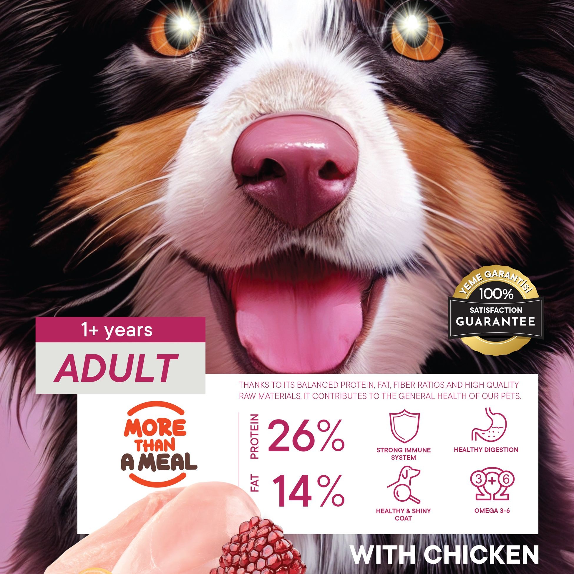 Petiva Yetişkin Köpekler İçin Tavuk Etli Kuru Köpek Maması 15 Kg