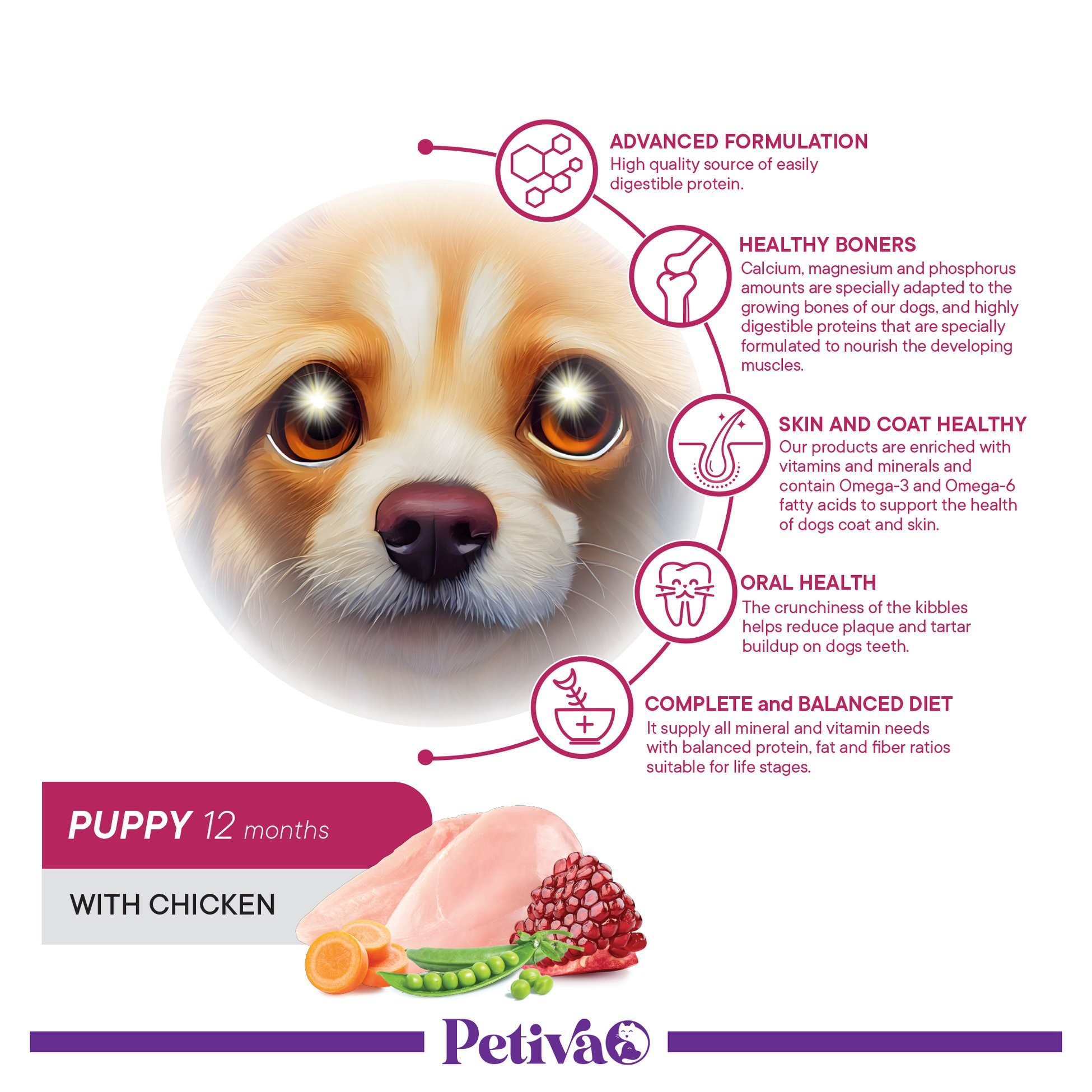 Petiva Yavru Köpekler İçin Tavuk Etli Kuru Köpek Maması 3 Kg