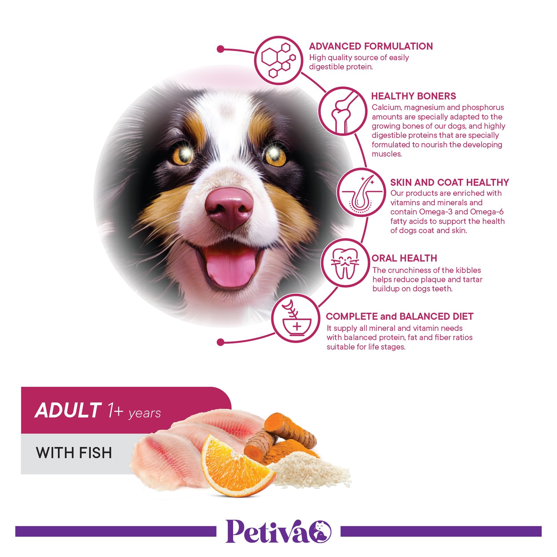 Petiva Yetişkin Köpekler İçin Balık Etli Kuru Köpek Maması 15 Kg