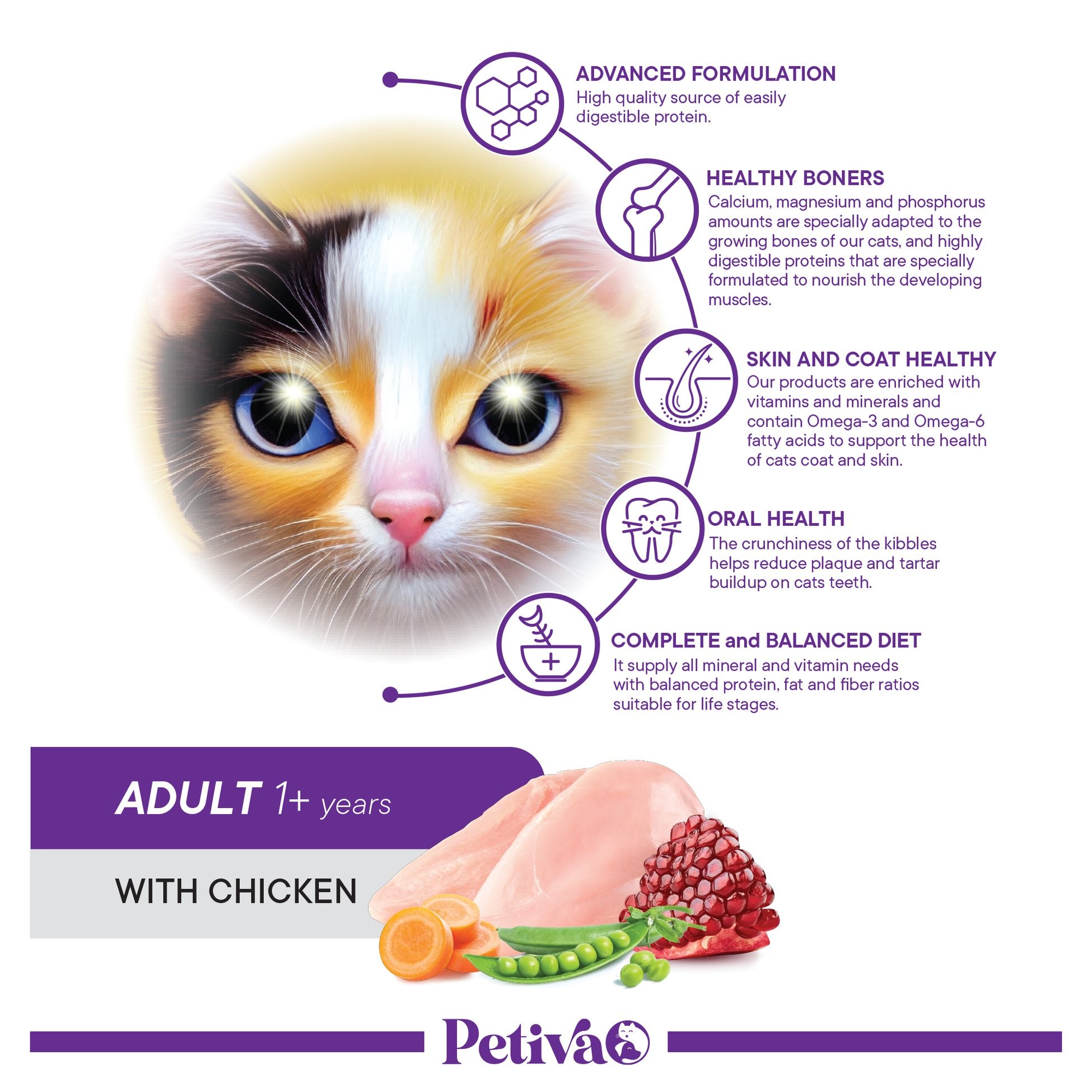 Petiva Yetişkin Kediler İçin Tavuk Etli Kuru Kedi Maması 3 Kg