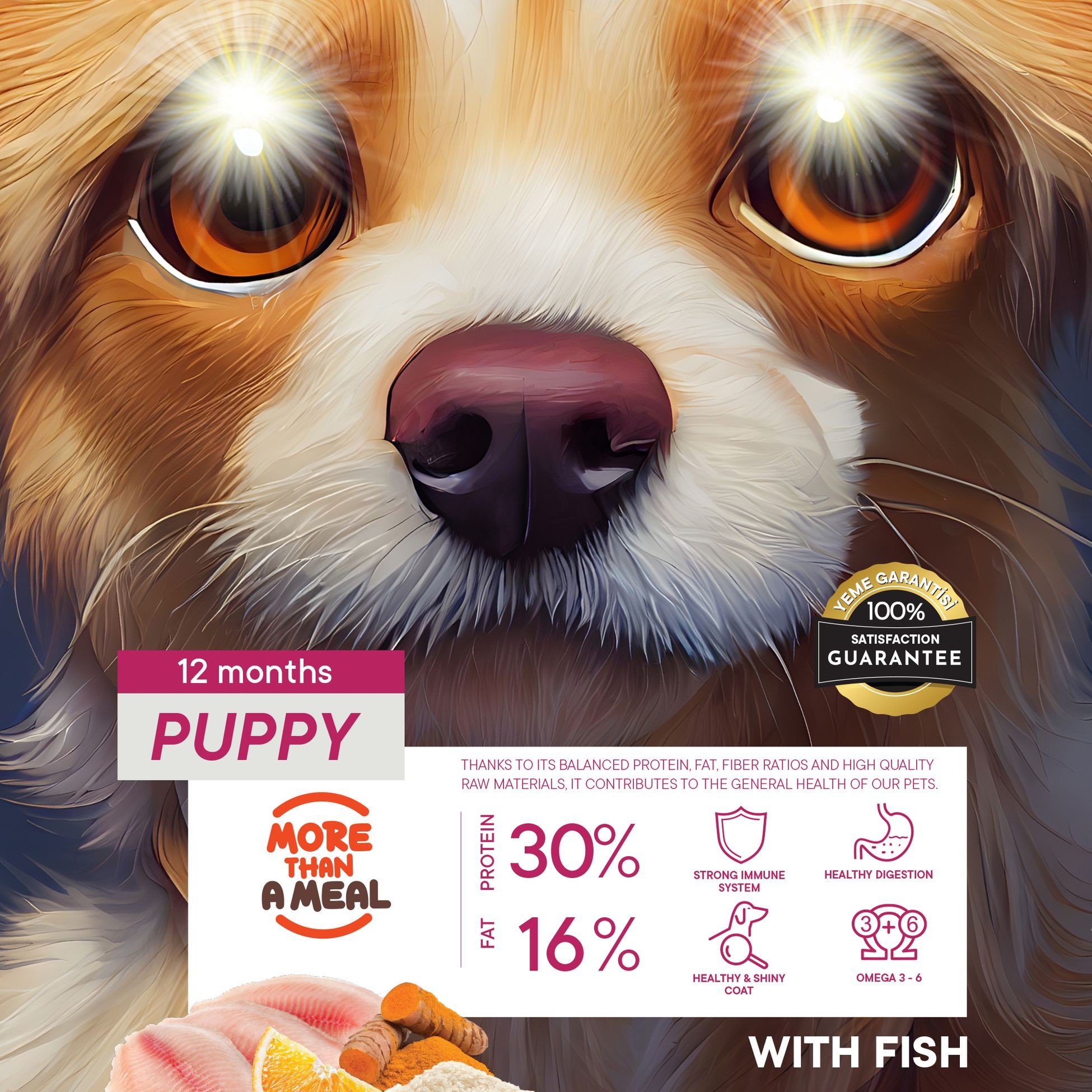 Petiva Yavru Köpekler İçin Balık Etli Kuru Köpek Maması 15 Kg