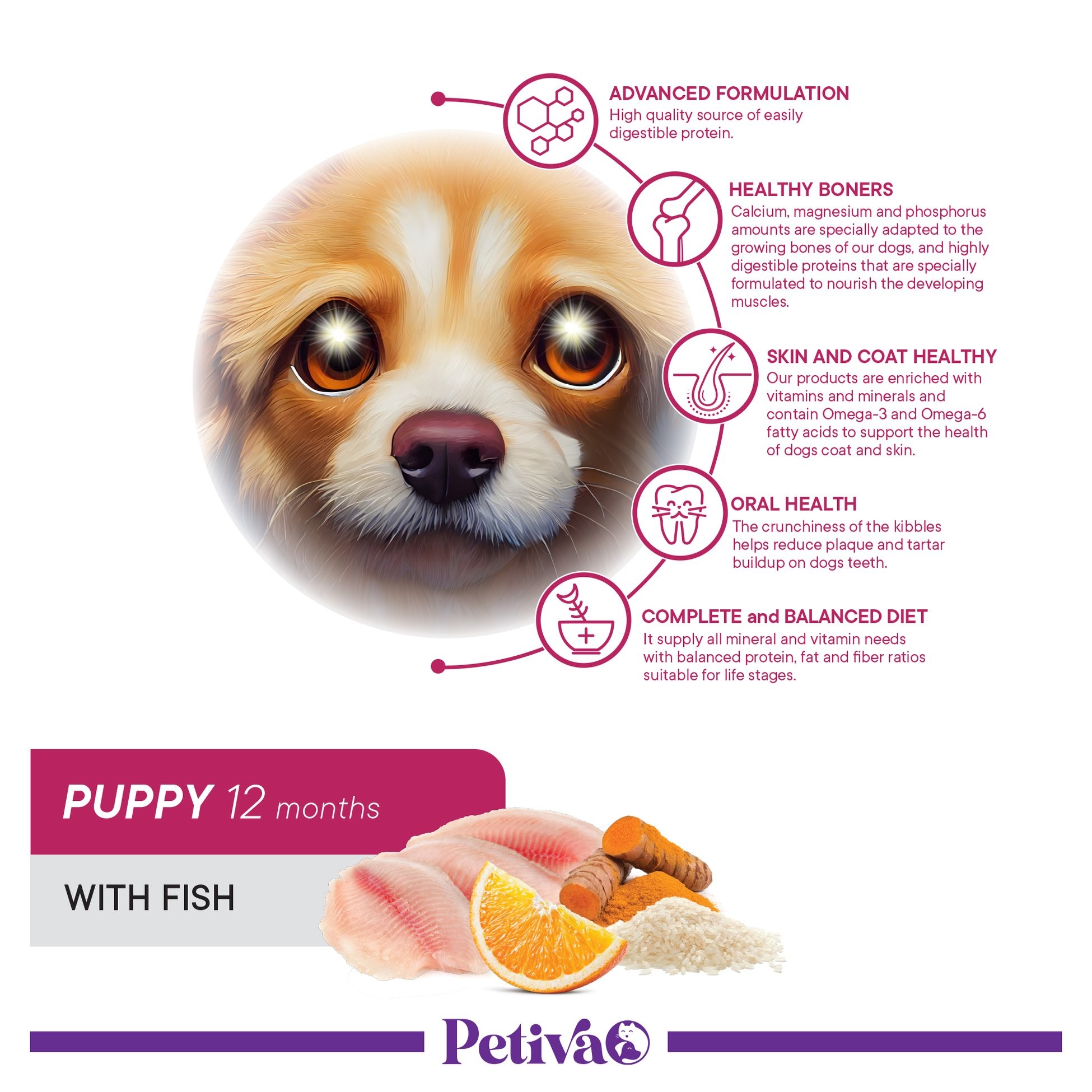 Petiva Yavru Köpekler İçin Balık Etli Kuru Köpek Maması 15 Kg