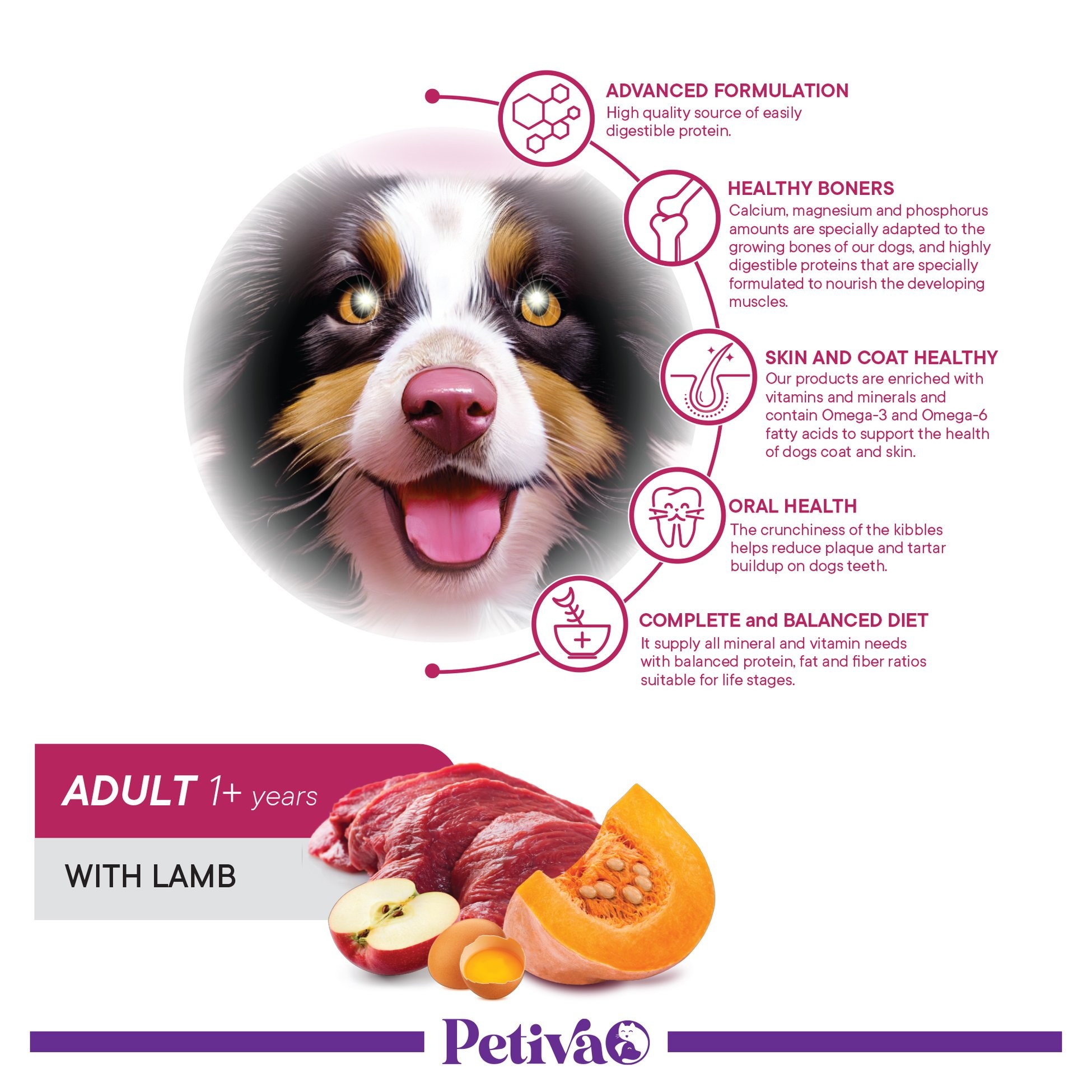 Petiva Yetişkin Köpekler İçin Kuzu Etli Kuru Köpek Maması 7 Kg
