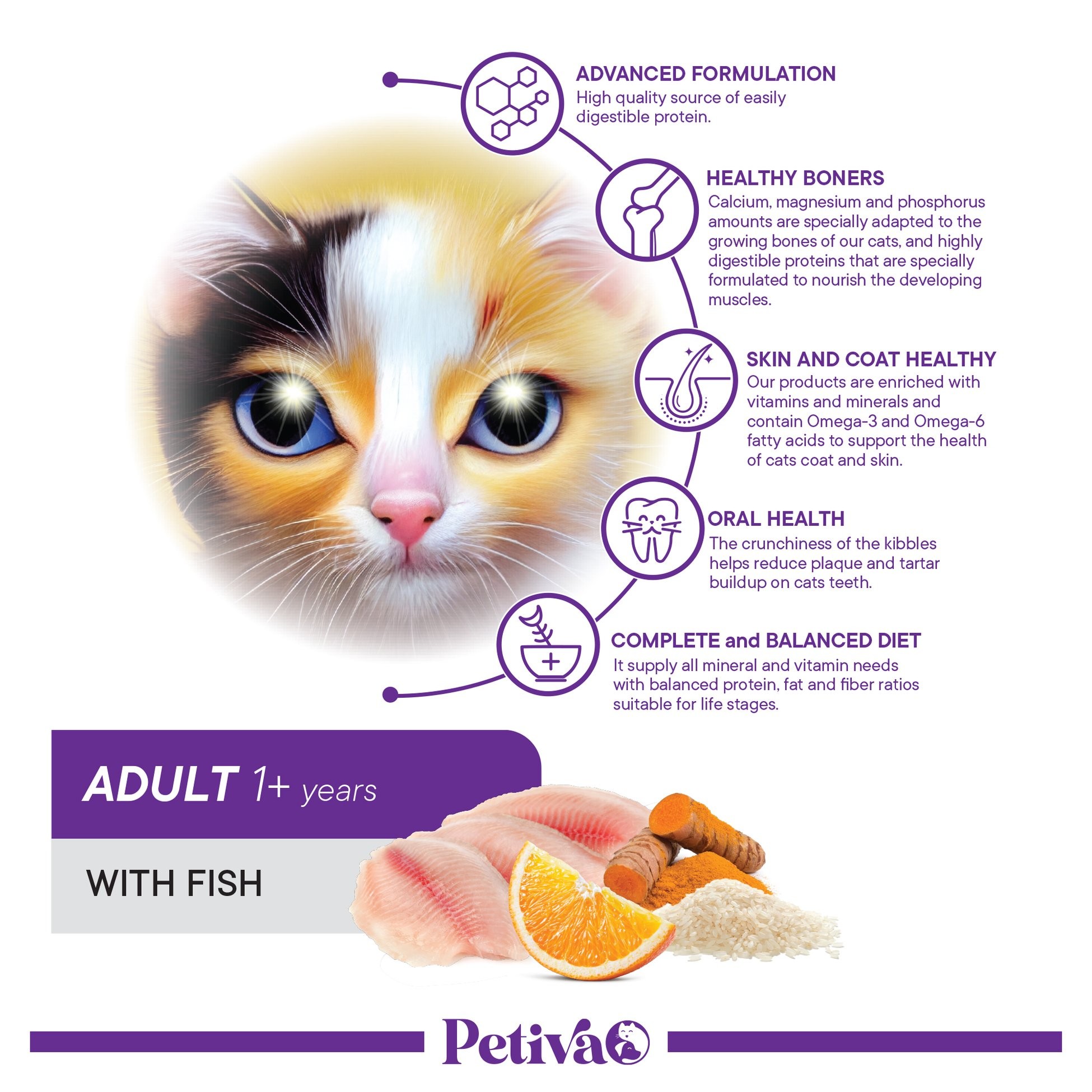 Petiva Yetişkin Kediler İçin Balık Etli Kuru Kedi Maması 3 Kg