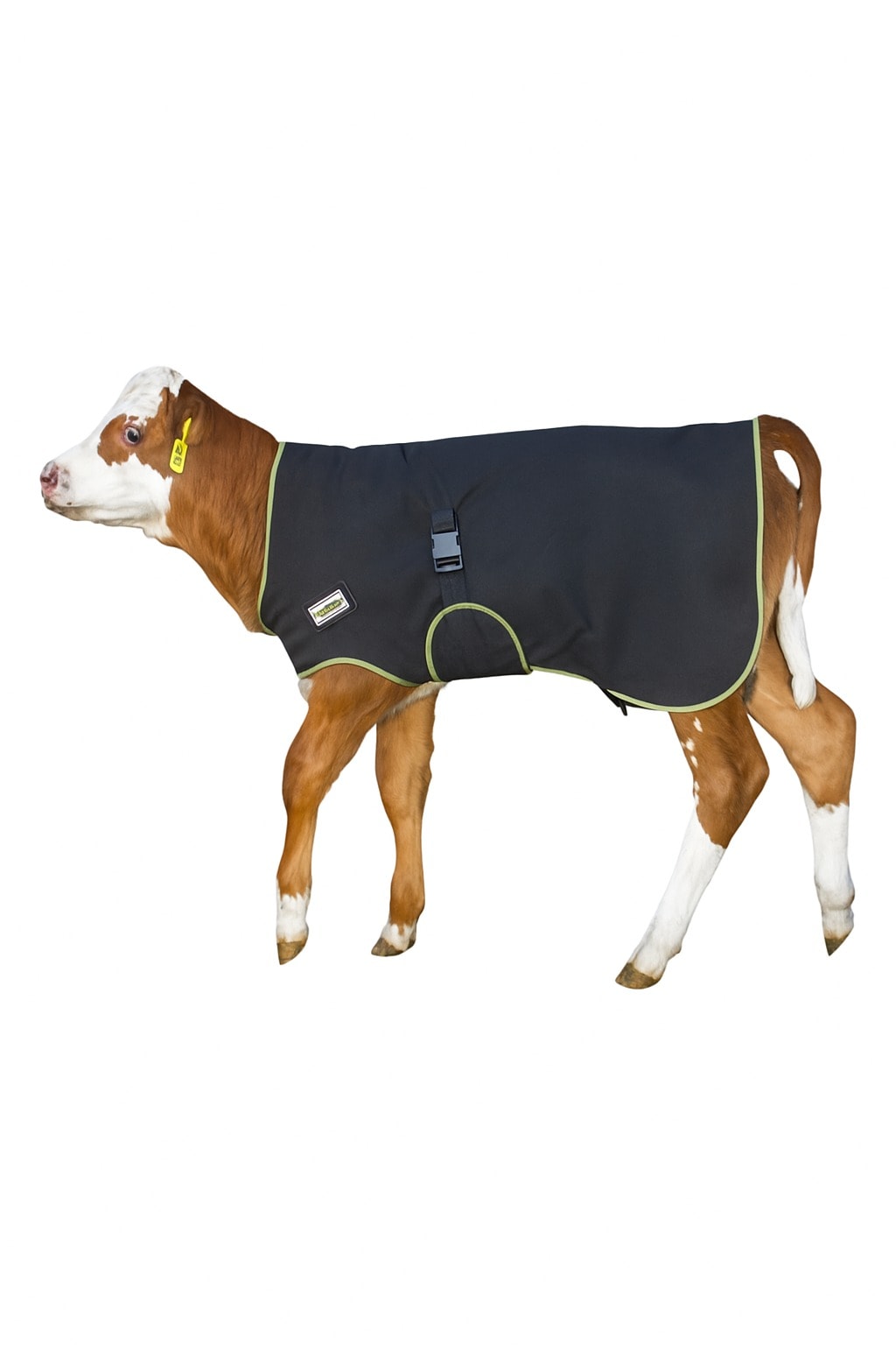 Buzağı Battaniyesi