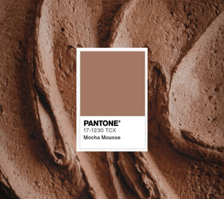 Pantone Mocha Mouse 2025 Trend Renk