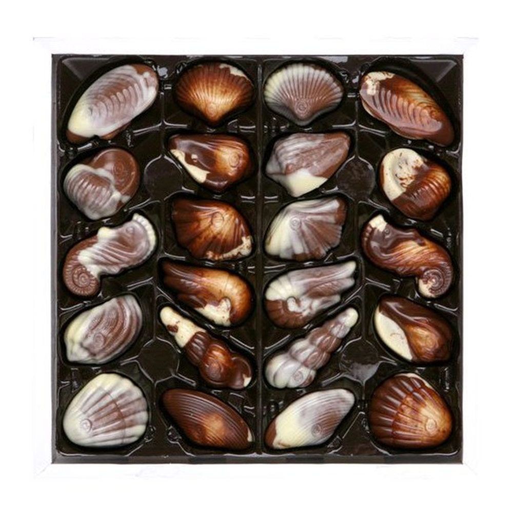 GUYLİAN SEA SHELLS 250GR :DENİZ KABUKLARI İLE ÇİKOLATA RÜYASI