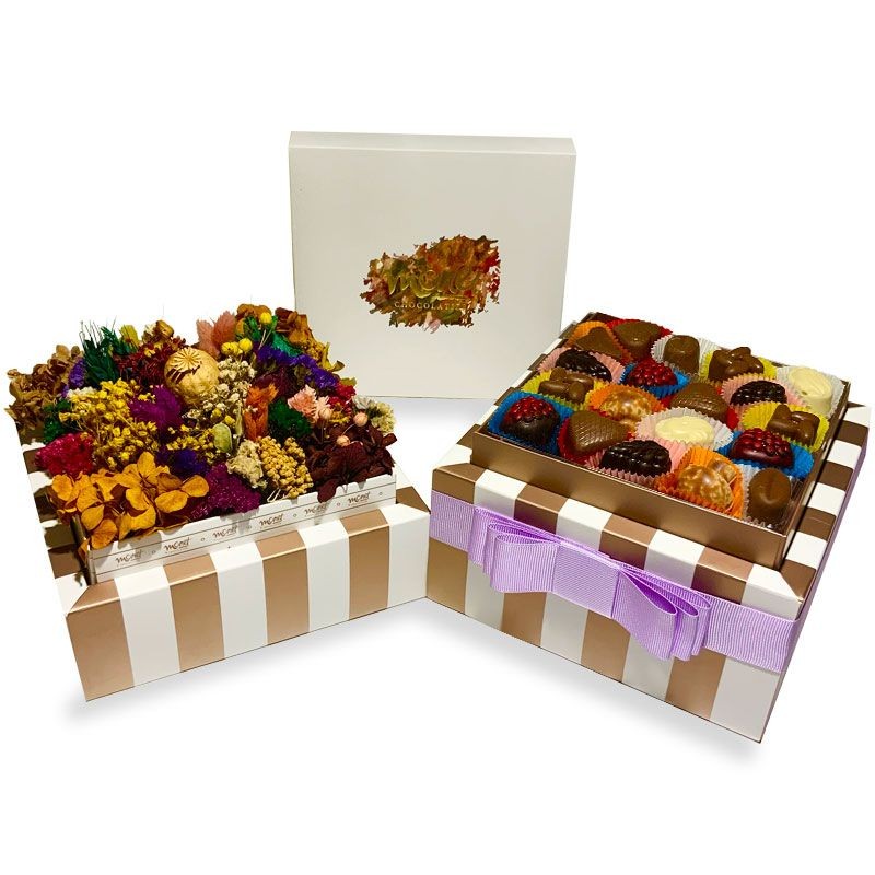 MONET RAİNBOW - ASSORTED