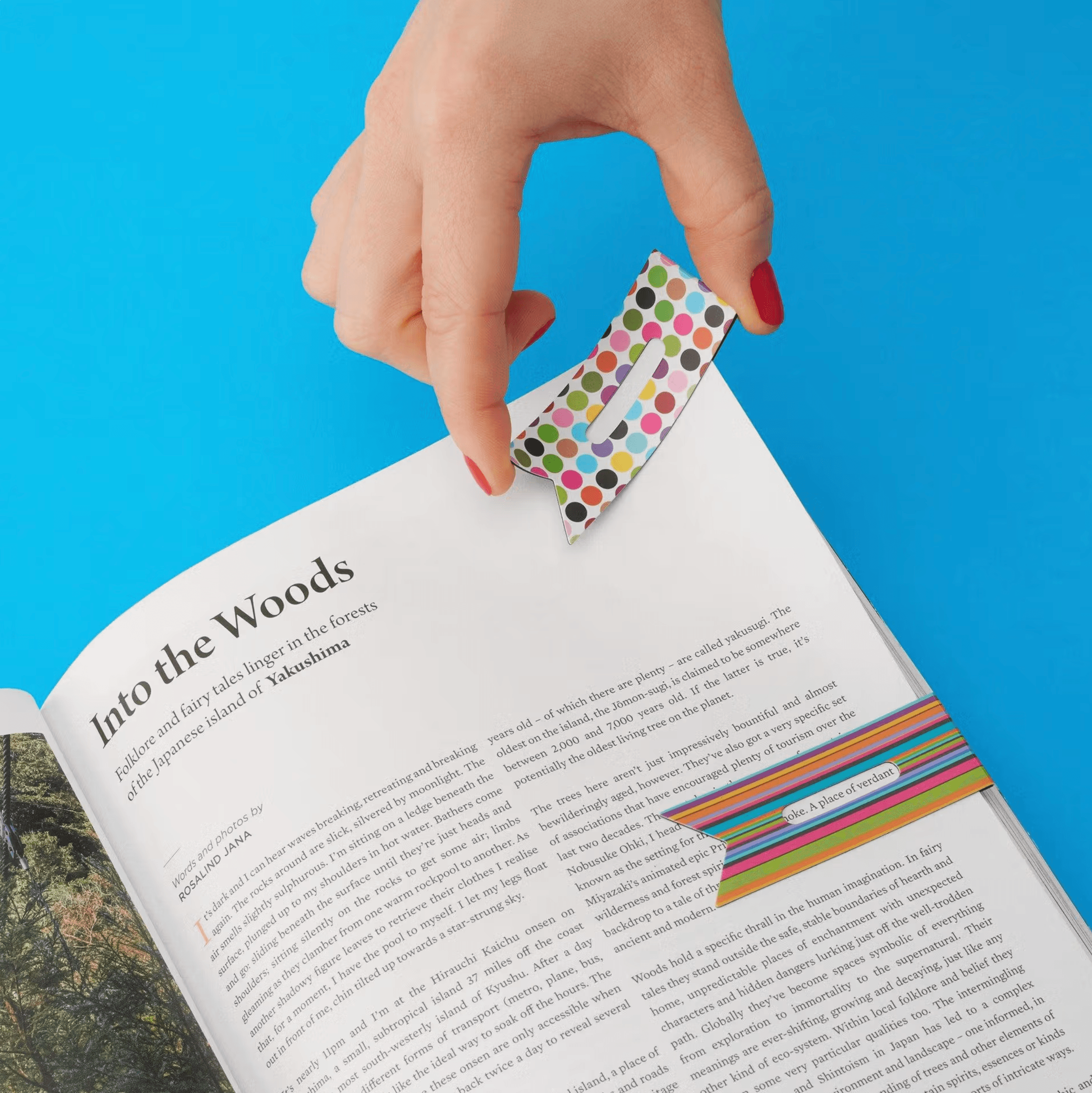 Linemarkers Ribbons Kitap Ayracı