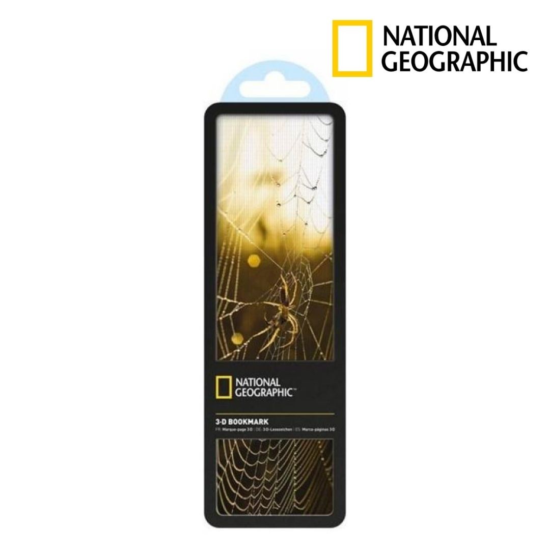 3-D Bookmark - Spider on Web