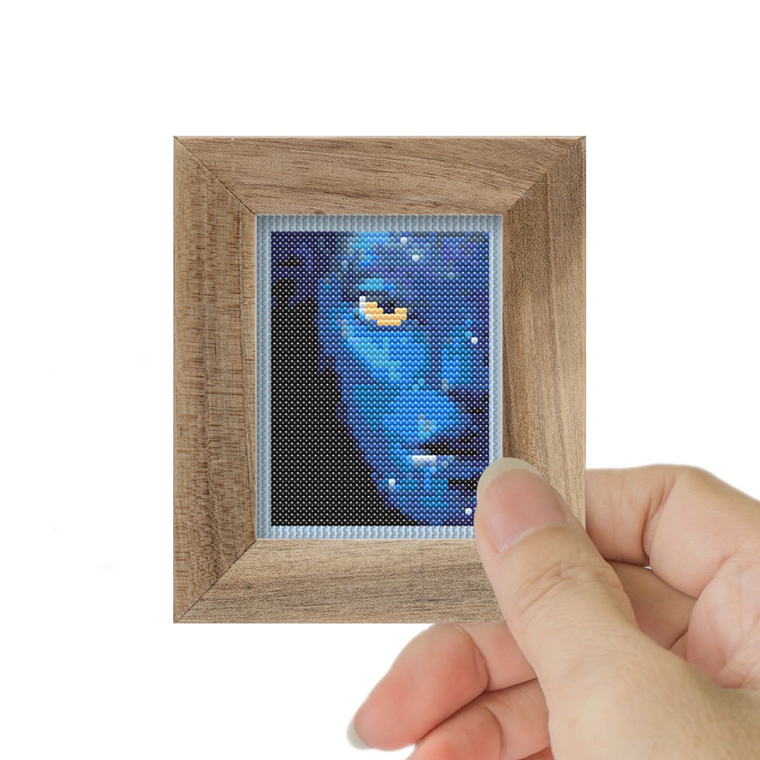 Avatar DMC Muline Çerçevesiz Mini Etamin Kiti