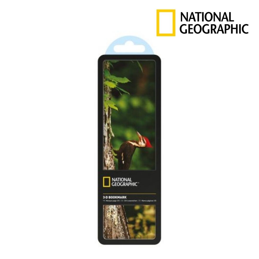 3-D Bookmark - Pileated Woodpecker Kitap Ayracı