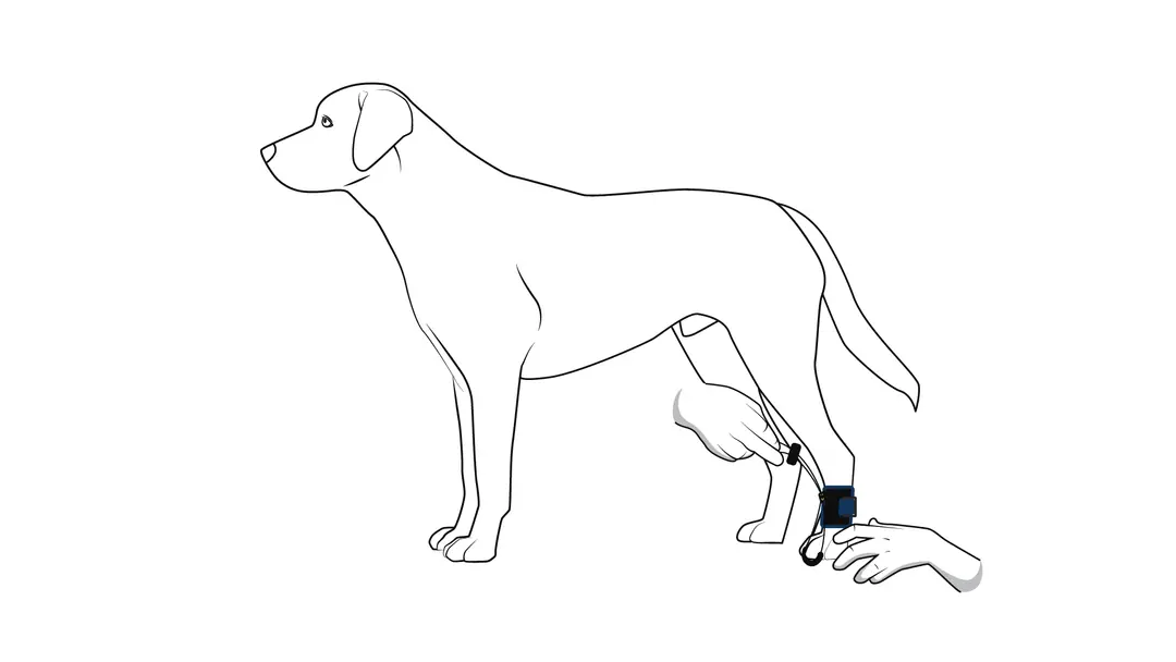 Positioning the soft support pad under the toes