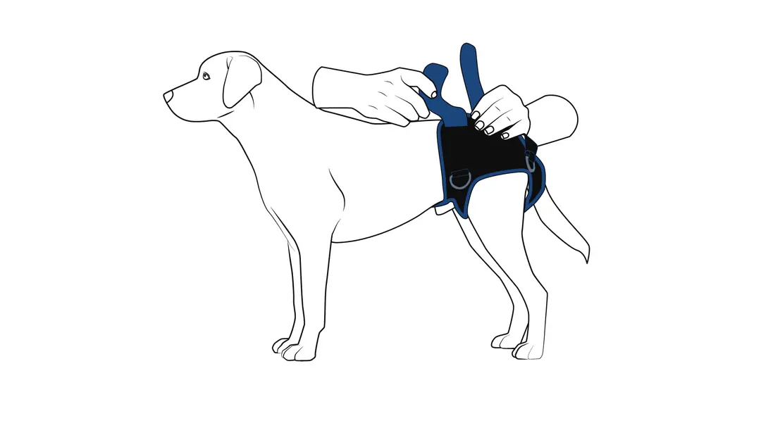 Fastening the side straps around the body