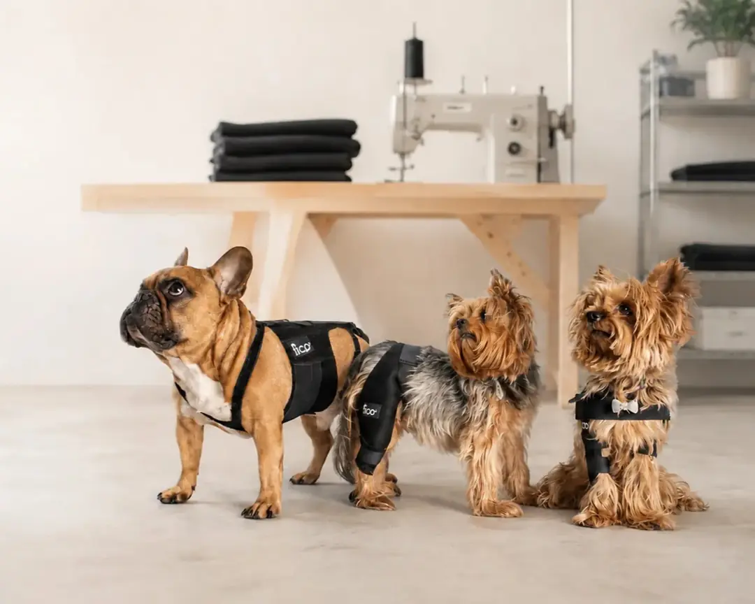 An orthopedic pet support being prepared in the Fico workshop