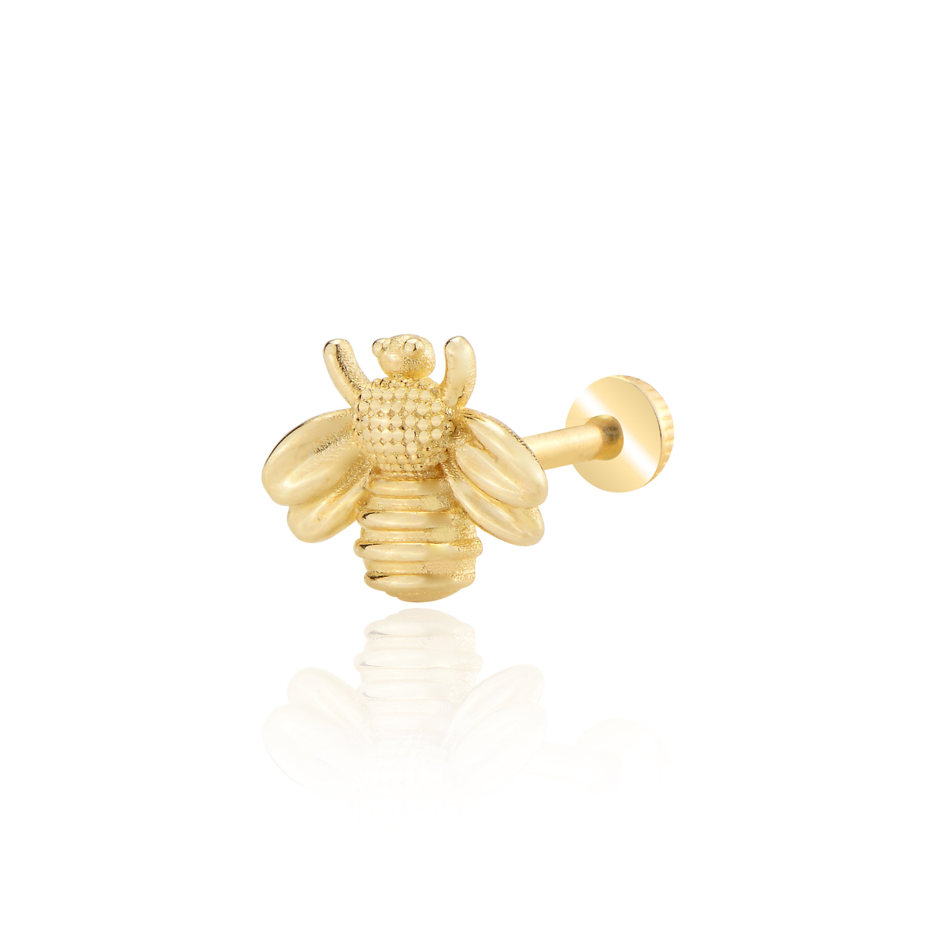 Arı tragus piercing