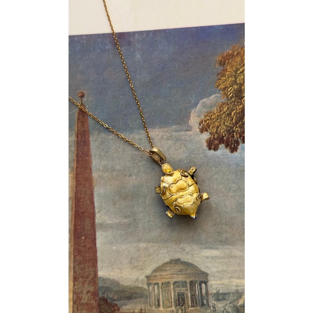 Mine kaplumbağa