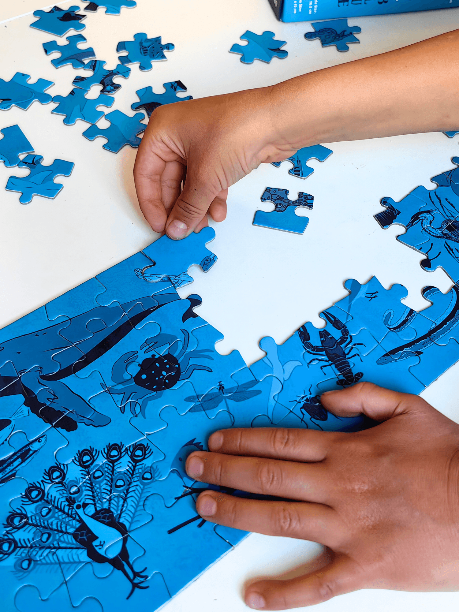 DoerKids All Blue-Mavi Hayvanlar Midi Puzzle | 80 Parça 5+ Yaş