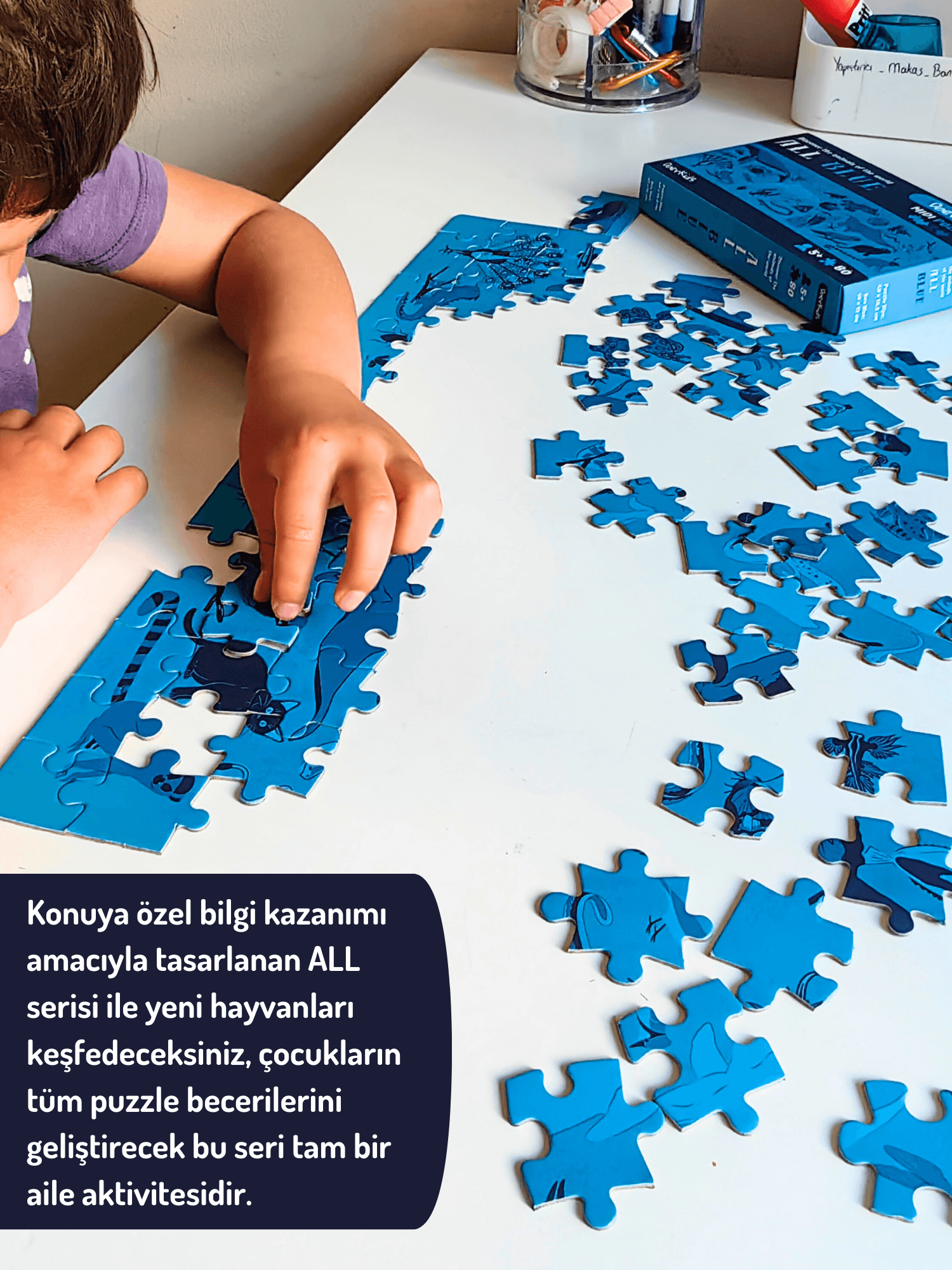 DoerKids All Blue-Mavi Hayvanlar Midi Puzzle | 80 Parça 5+ Yaş