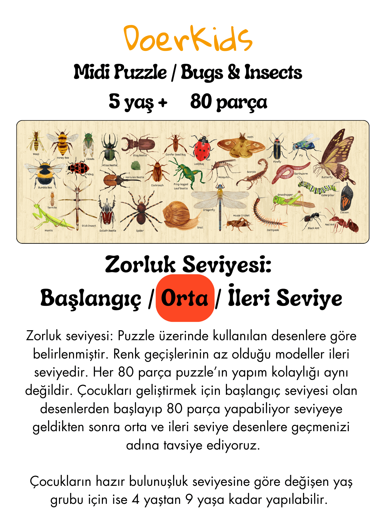 DoerKids Bugs & Insects - Böcekler Midi Puzzle | 80 Parça 5+ Yaş