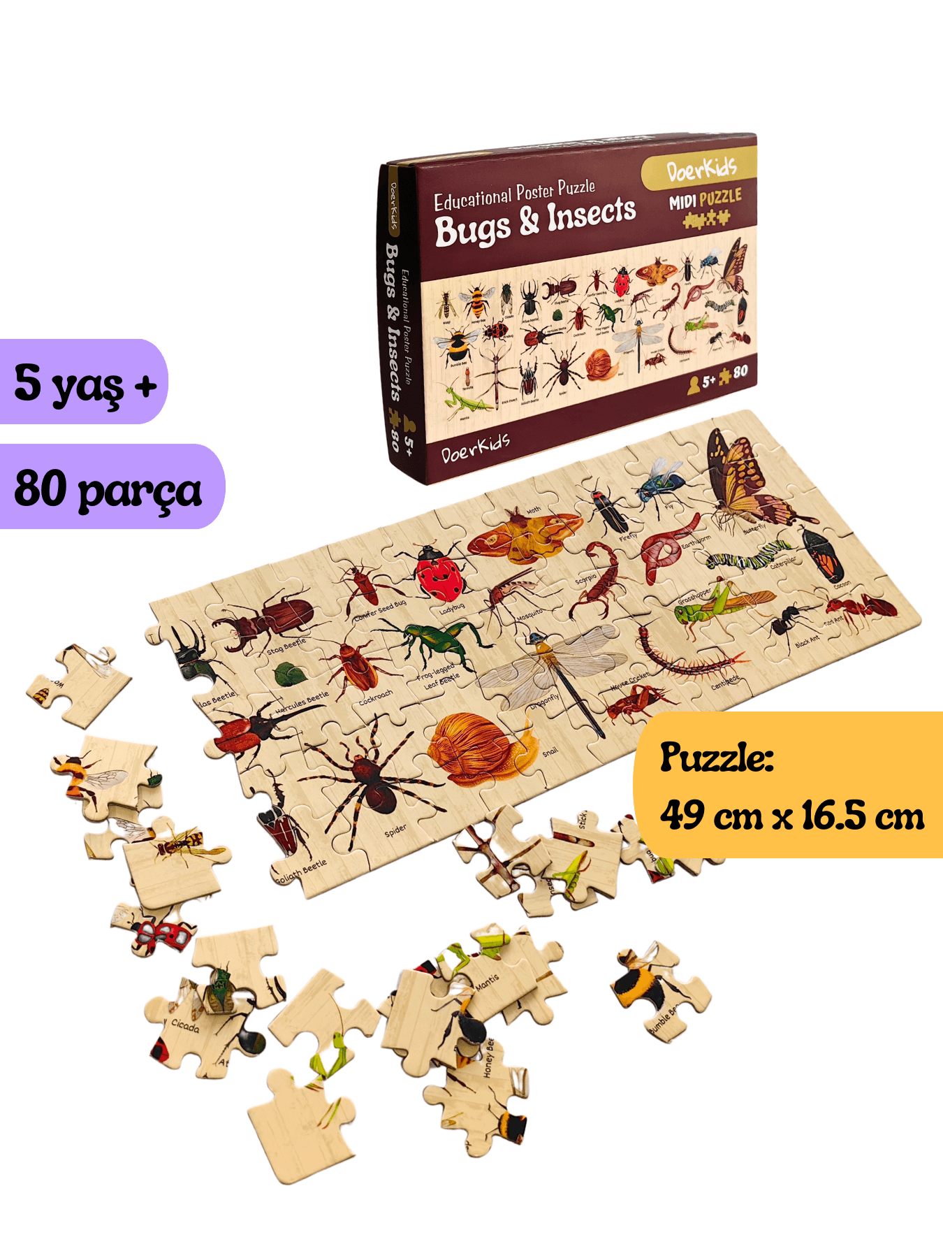 DoerKids Bugs & Insects - Böcekler Midi Puzzle | 80 Parça 5+ Yaş