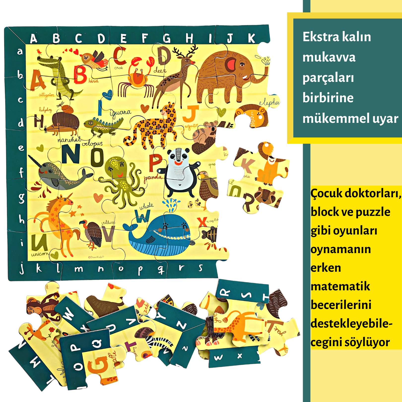 Hayvanlar İngilizce Alfabe Ara Bul Yer Puzzle | Eğitici Puzzle 35 Parça