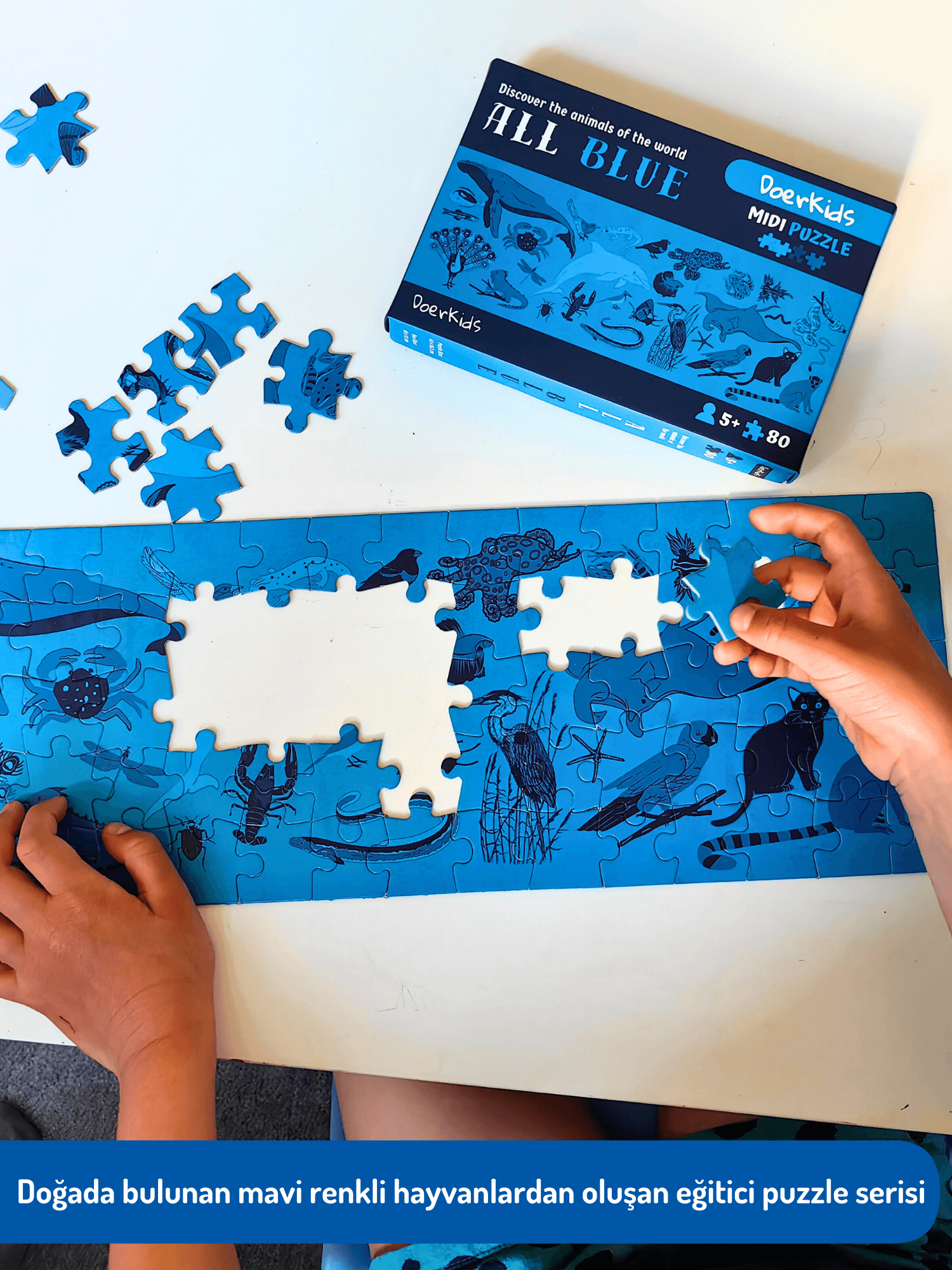 DoerKids All Blue-Mavi Hayvanlar Midi Puzzle | 80 Parça 5+ Yaş