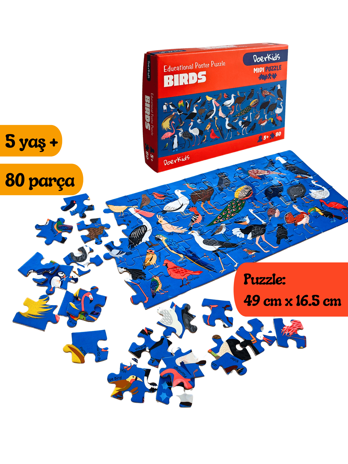 DoerKids Birds – Kuşlar Midi Puzzle | 80 Parça 5+ Yaş