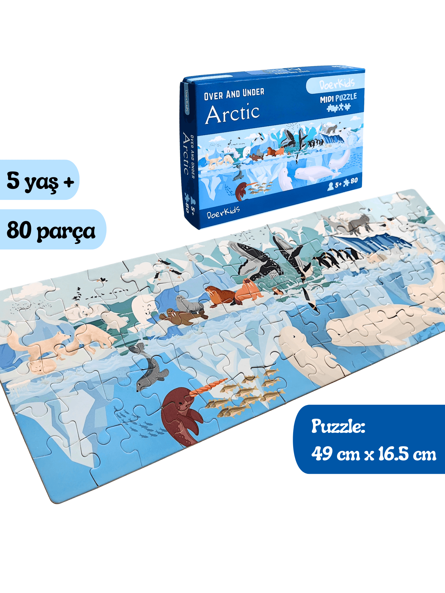 DoerKids Kuzey Kutbu Su Altı Su Üstü Midi Puzzle | 80 Parça 5+ Yaş