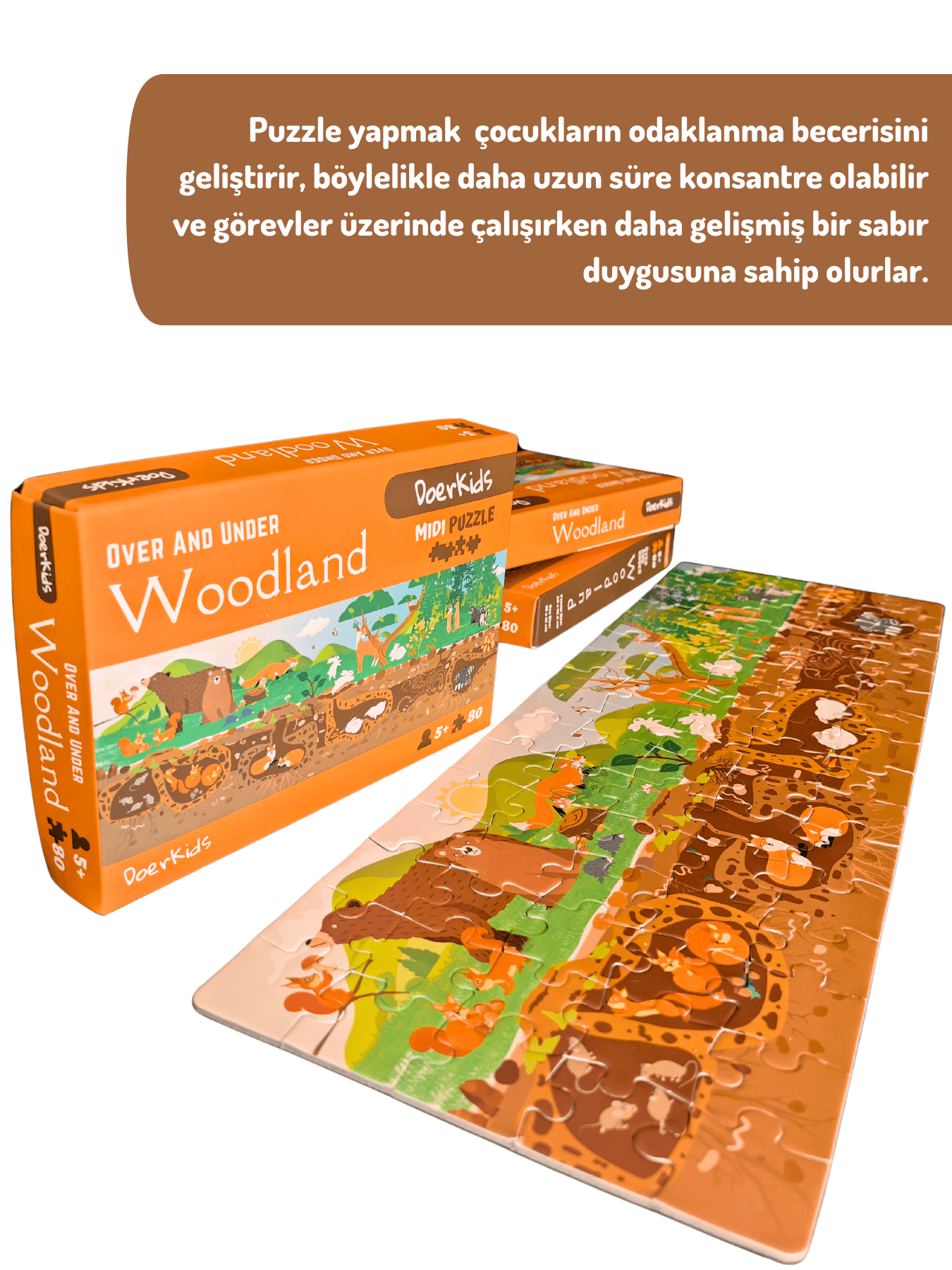 DoerKids Ormanlık Alan Yeraltı Yerüstü Midi Puzzle | 80 Parça 5+ Yaş