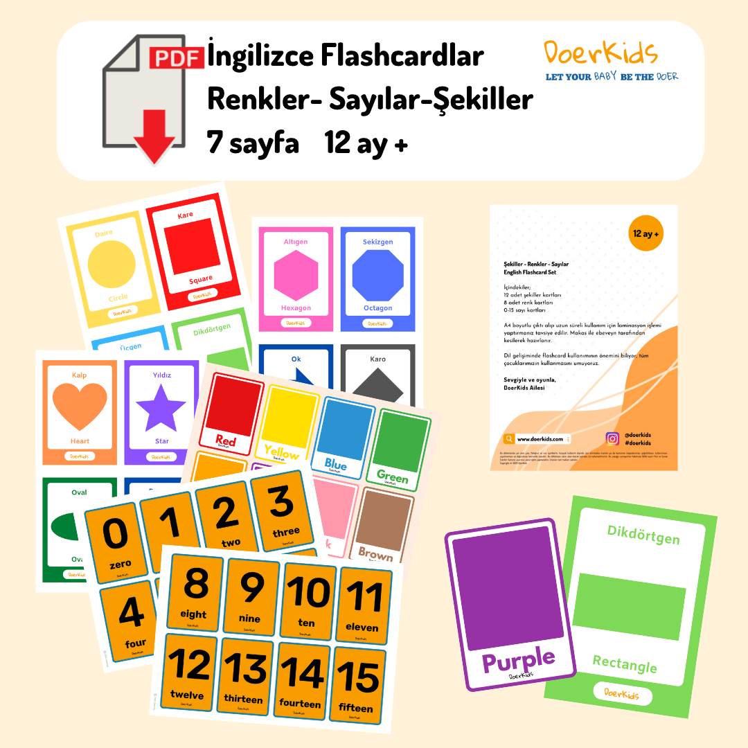 Dijital Ürün | Şekiller - Renkler - Sayılar English Flashcard Set 7 Sayfa | 12+ Ay