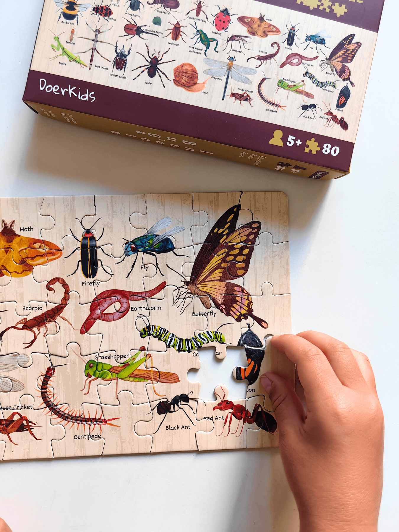 DoerKids Bugs & Insects - Böcekler Midi Puzzle | 80 Parça 5+ Yaş